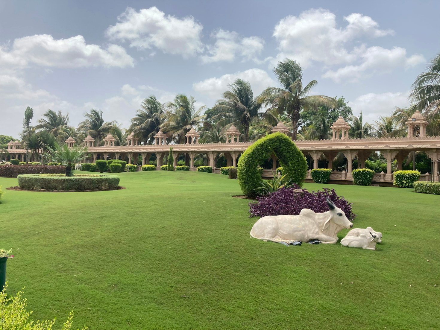 10 Must-Have Eco-Friendly Home Products