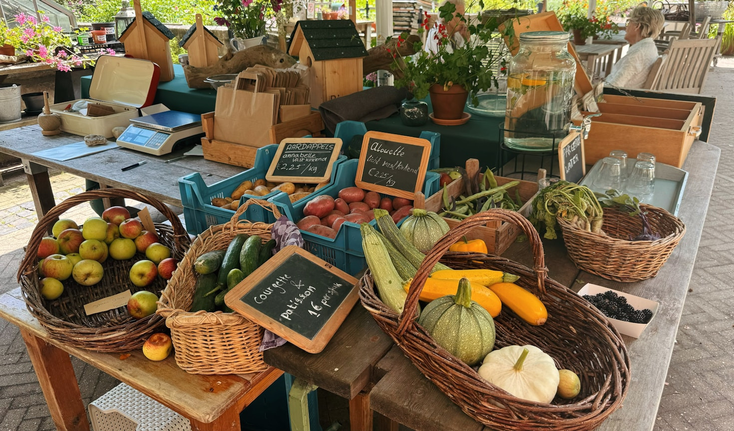 Top Trends in Green Living for 2023